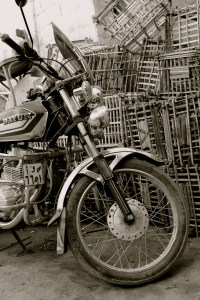 IMG_2659 - Version 2